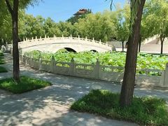 -南戴河国际娱乐中心