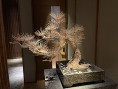 -浅深(北京北四环精品店)