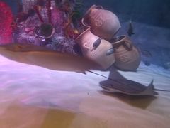 -沈阳海洋探索中心