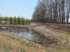 -东郊湿地公园