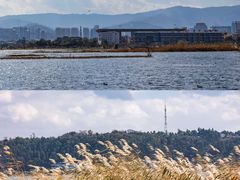 -洱海月湿地公园