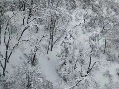 -西岭雪山大飞水景区