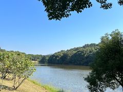 -鲤鱼洲酒店港鲤咖啡厅