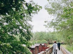 -同里国家湿地公园