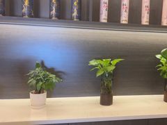 -鹿栖(佛山季华园店)