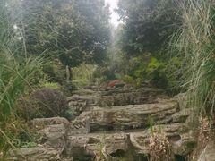 -铁山坪森林公园