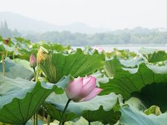 -郭庄景区