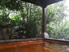 温泉池-天目湖涵田半山温泉