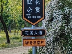 -老君堂公园