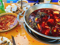-小饕荟雅安贡椒鱼鲜馆(广福桥店)
