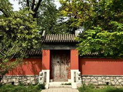 -国家植物园