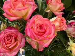 -seeu coffee(江滩店)