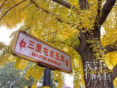 -三里屯东五街银杏大道