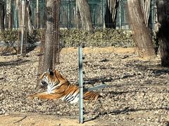 -秦皇岛野生动物园
