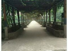 -雪玉洞景区