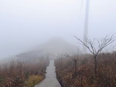 -东白山