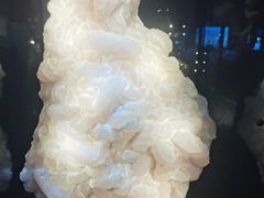 -中国地质大学逸夫博物馆