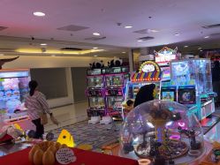 -Fang Fang Monkey·方方猴(国瑞购物中心店)