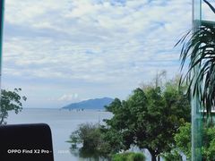 -野菌皇海景野生菌火锅(滨海大道店)