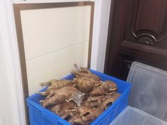 -正宗忘不了老鹅(梅岭店)