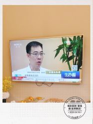 -碧莲盛·不剃发植发