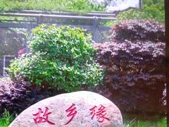 -故乡缘·香格里拉山庄(冷竹路店)