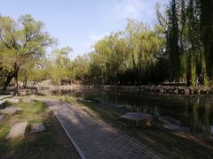 -绿堤公园