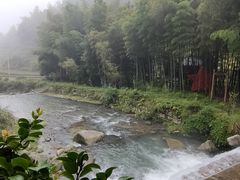 -紫鹊界梯田景区