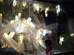 -湖南省地质博物馆