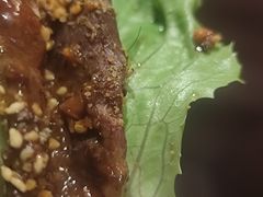 -九田家黑牛烤肉料理(溧阳吾悦店)