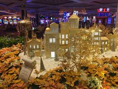 -拉斯维加斯永利酒店