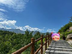 -白水寺森林公园
