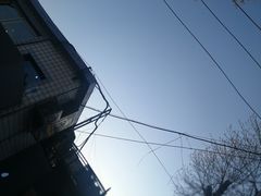 -八十八粉儿(尚都店)