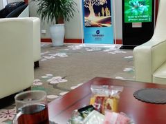 -郑州新郑国际机场T2航站楼-贵宾厅B区