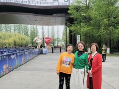 -黄海国家森林公园