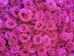 -新世界大丸百货