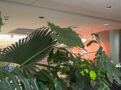 -枕水江南(铁西万象汇店)