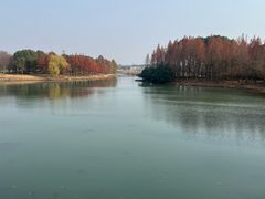 -贡湖湾湿地公园