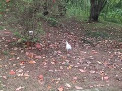 -南京市江宁方山