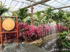 -呀路古热带植物园