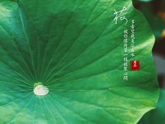 -团结湖公园