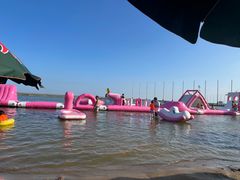 -碧海金沙