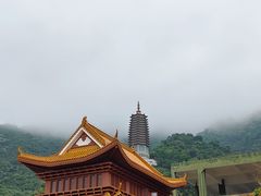 -深圳仙湖植物园