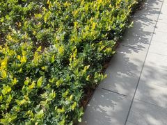 -上海小南国(金桥国际广场店)