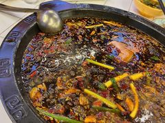 -费明中罗非鱼(大石坝店)