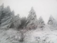 -太子岭滑雪场