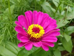 -盘龙城国家考古遗址公园