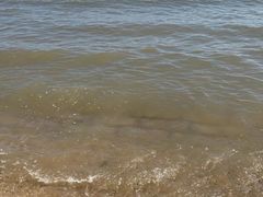 -北戴河东海水浴场