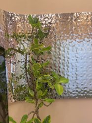 -AIST爱思特医疗美容医院