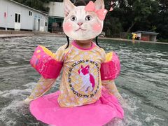 -柳浪游泳场